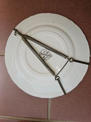 Coppia piatti decorativi inglesi