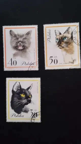 Sellos Polonia Gatos - lote 5