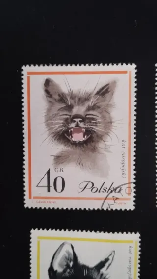 Sellos Polonia Gatos - lote 5