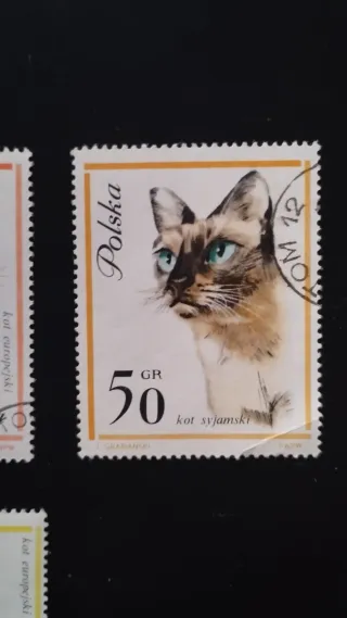 Sellos Polonia Gatos - lote 5