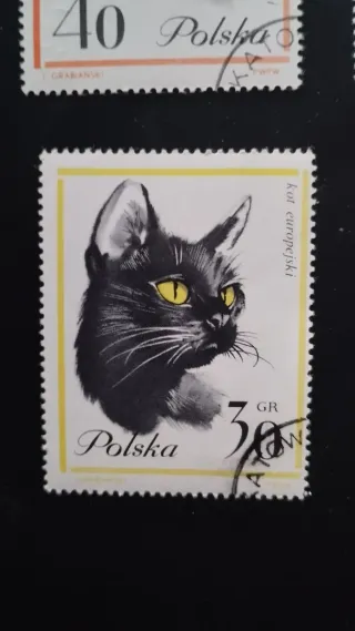 Sellos Polonia Gatos - lote 5