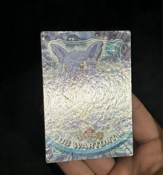 Carte Pokemon Squirtle e Wartortle