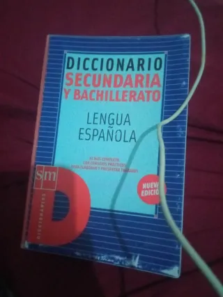 Diccionario Secundaria y Bachillerato Lengua Españ