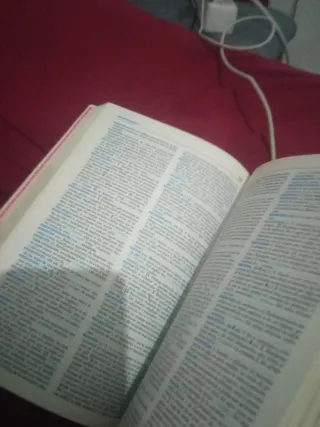 Diccionario Secundaria y Bachillerato Lengua Españ