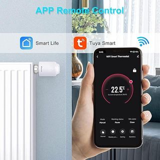 Termostato Smart Wi-Fi SALCAR