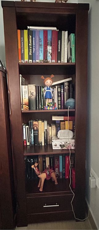 Muebles de salón-comedor