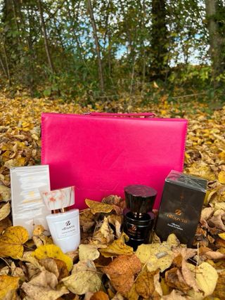 Asesora Chogan en España