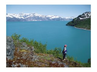 Olympus MJU 400 Digital Cámara Y2K