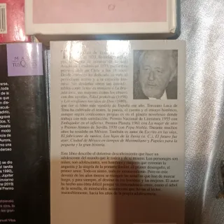 Fortunata y Jacinta y los que se ven en la foto