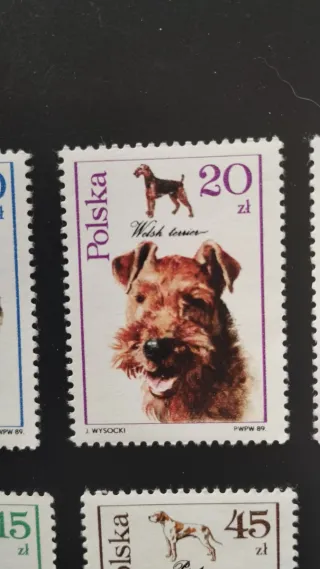 Sellos Polonia Perros - lote 7