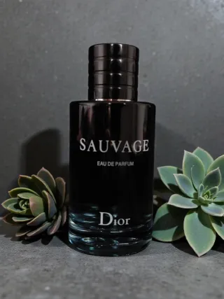 Perfume Dior Sauvage Eau de Parfum 100ml