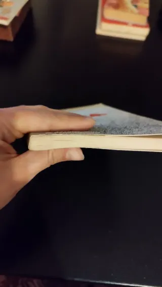 Va' dove ti porta il cuore (Romanzi e racconti)...