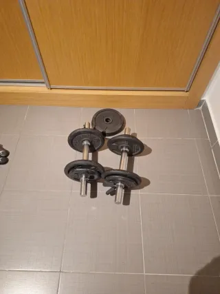 Mancuernas ajustables con discos