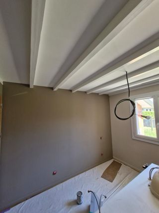 Servicios de pintura profesional