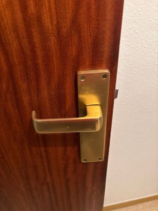 Puerta interior de madera