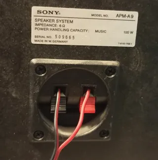 Altavoces Sony 100W Negros