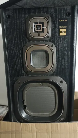 Altavoces Sony 100W Negros