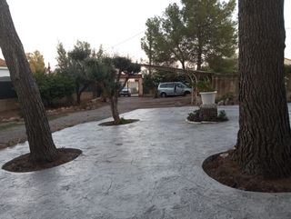 Albañilería Barato y Económico