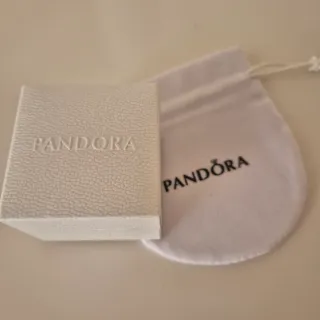 Pendientes Aro Pandora Plata