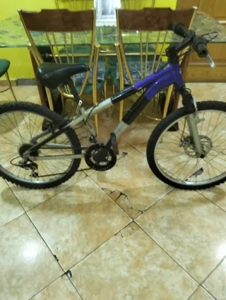 Bicicleta Juvenil Nexus