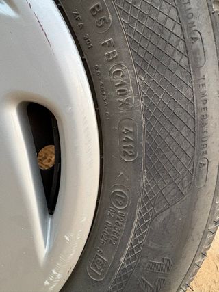 llantas Peugeot y Citroën (SIN TAPACUBOS)