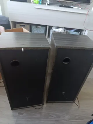 Altavoces Hi-Fi Pioneer Negros