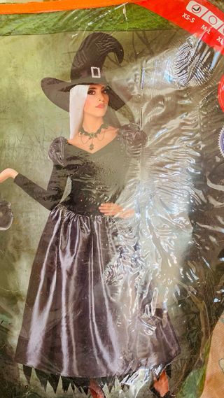 Disfraz Bruja Halloween Adulta Talla XS.