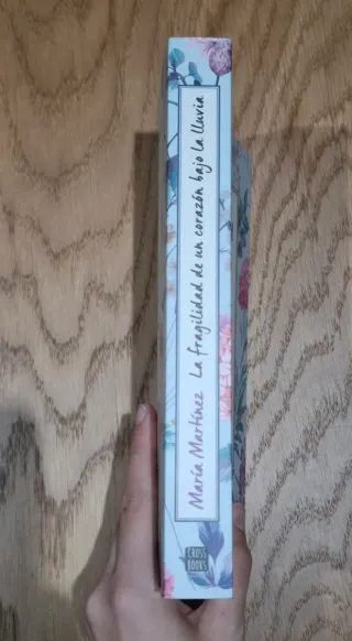 La fragilidad de un corazón bajo la lluvia (Spa...