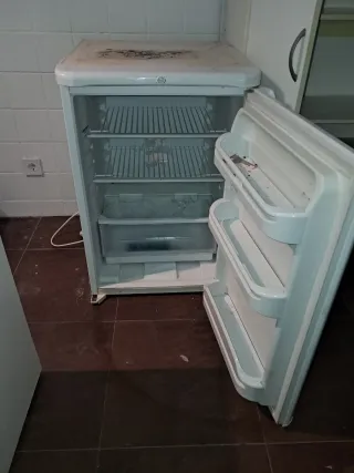 Nevera pequeña blanca