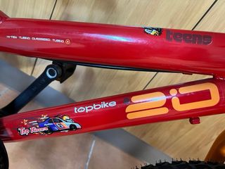 Bicicleta infantil 20’roja