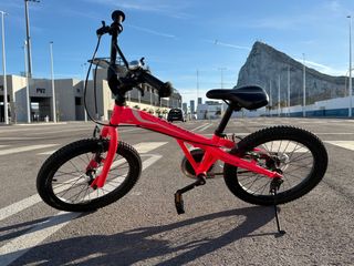 Bicicleta Monty 105 20” Rosa