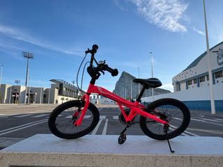 Bicicleta Monty 105 20” Rosa