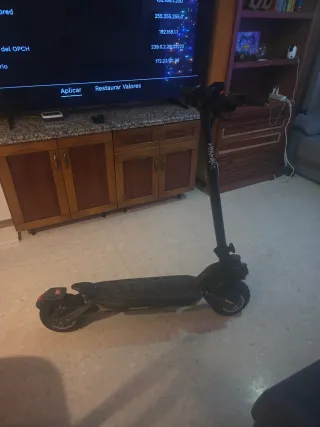 Patinete Eléctrico Segway Titan X2 Pro