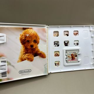 Nintendogs + Cats Barboncino nano 3DS