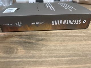 La torre nera. La torre nera