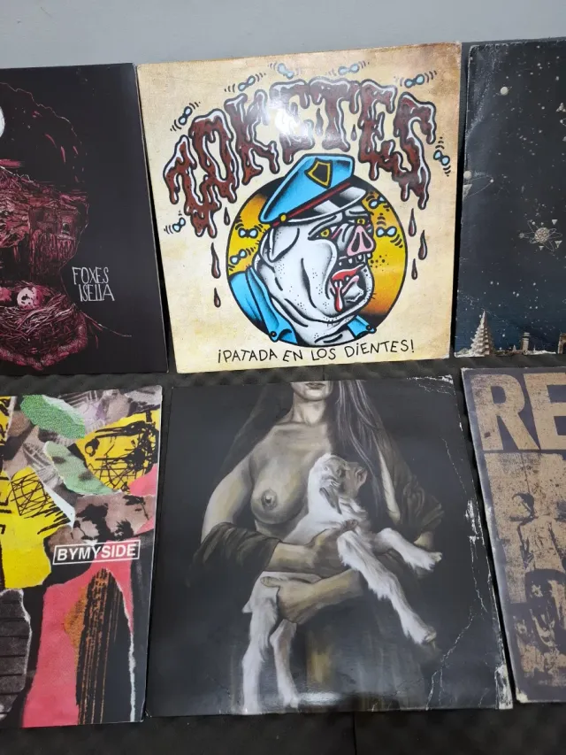 Vinilos de punkrock