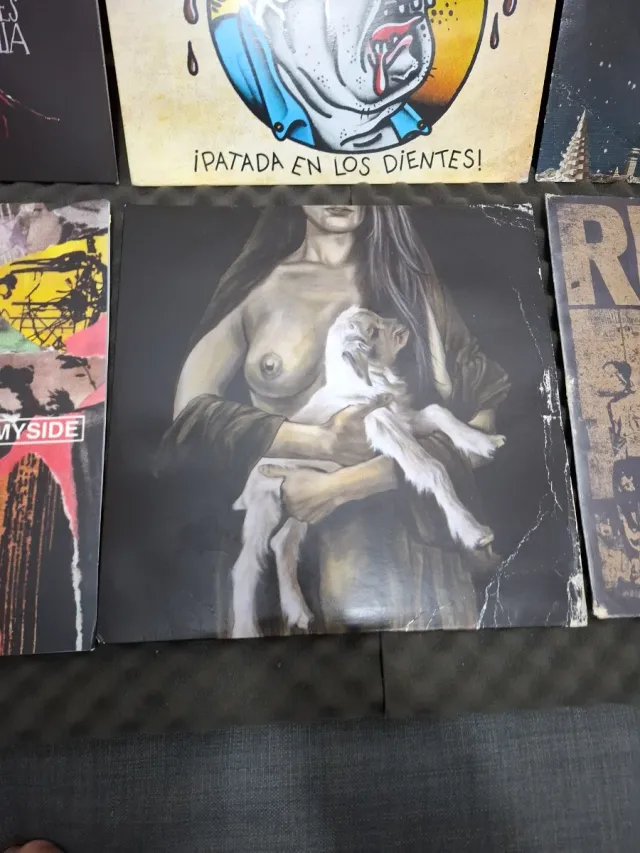 Vinilos de punkrock