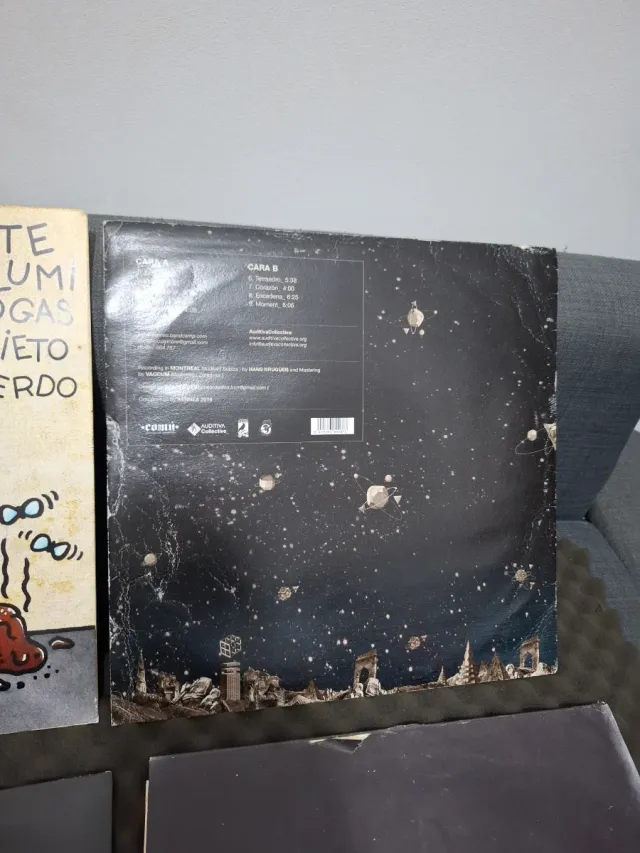 Vinilos de punkrock