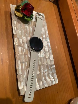 Smartwatch Garmin Venu 3 Grigio/Bianco