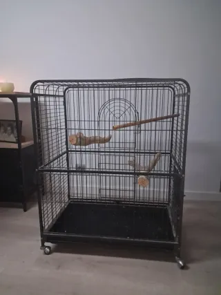 Jaula metálica con ruedas para loros o otras aves