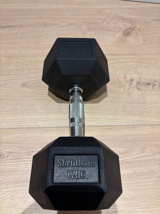 Mancuerna Hexagonal Singular Wod 17.5kg