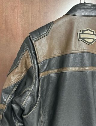 Giubbotto Harley Davidson Pelle Uomo