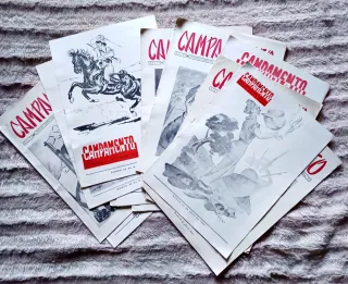 14 Revistas Militares 'Campamento' años 1948-1949