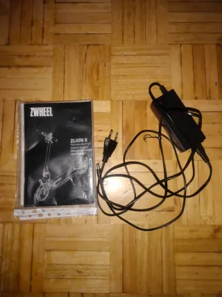 Patinete eléctrico ZWHEEL Zlion x