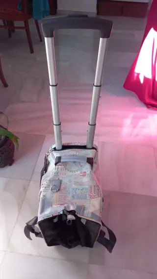 Bolso de viaje 2 ruedas