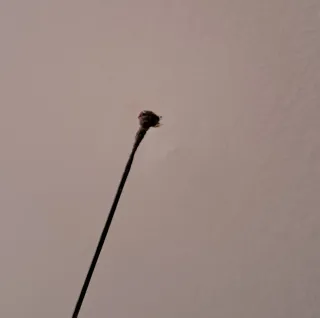 Antiguo florete de esgrima francés