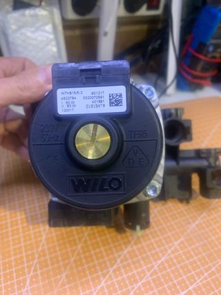 Pompa caldaia a gas Saunier Duval TF95 WILO