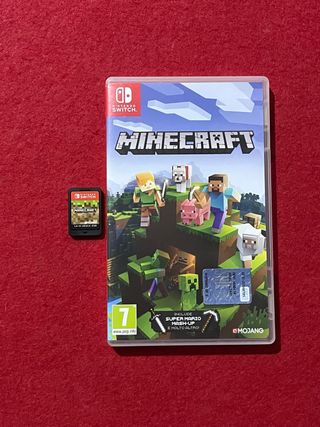 Minecraft Nintendo Switch