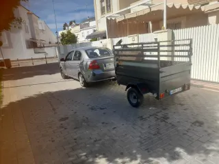 Servicios de recogida de podas exprés