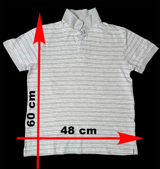 Camiseta Polo Rayas Gris Hombre